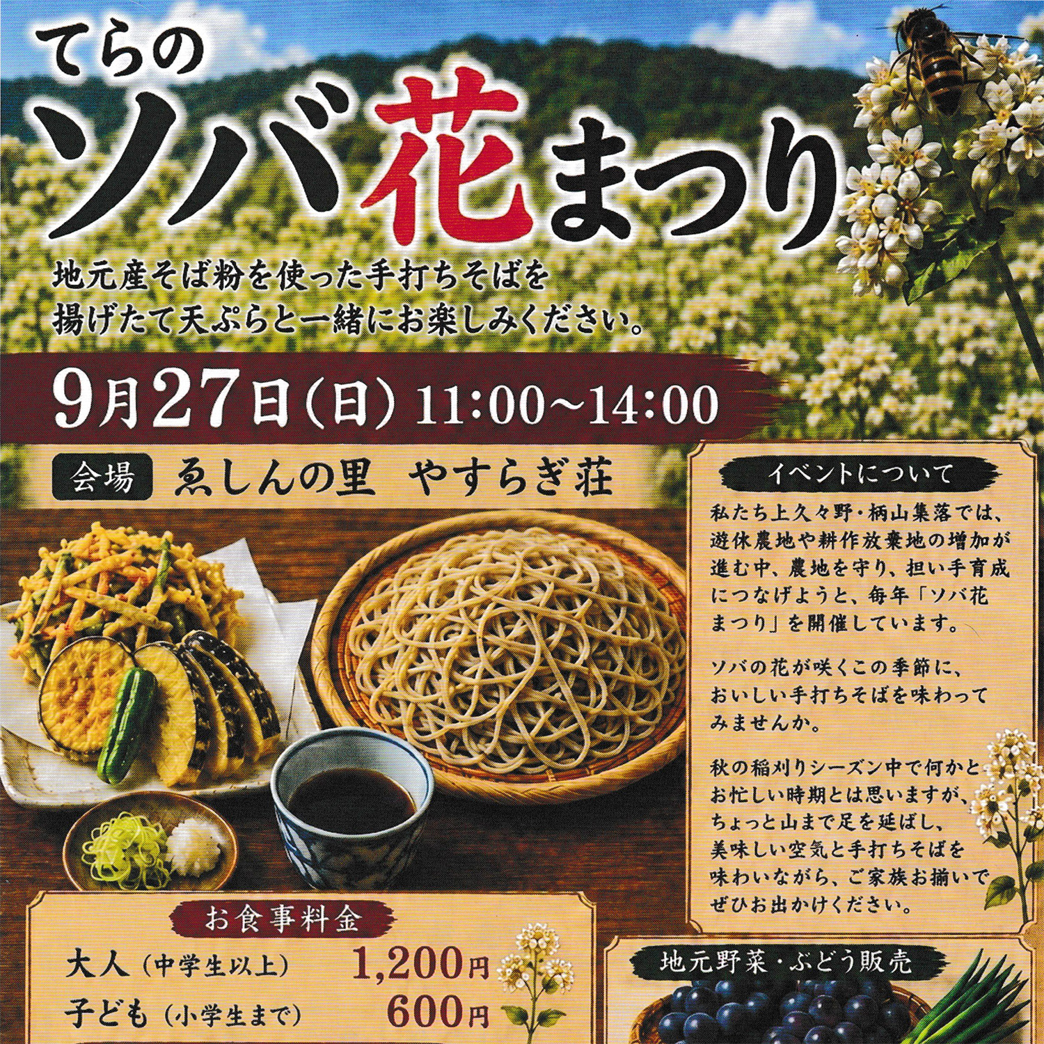 てらの ソバ花まつり