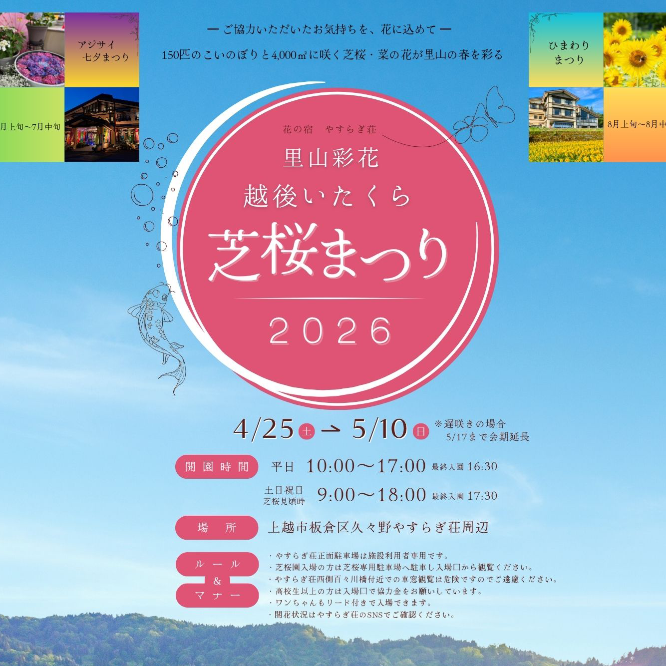 越後いたくら　芝桜まつり2026