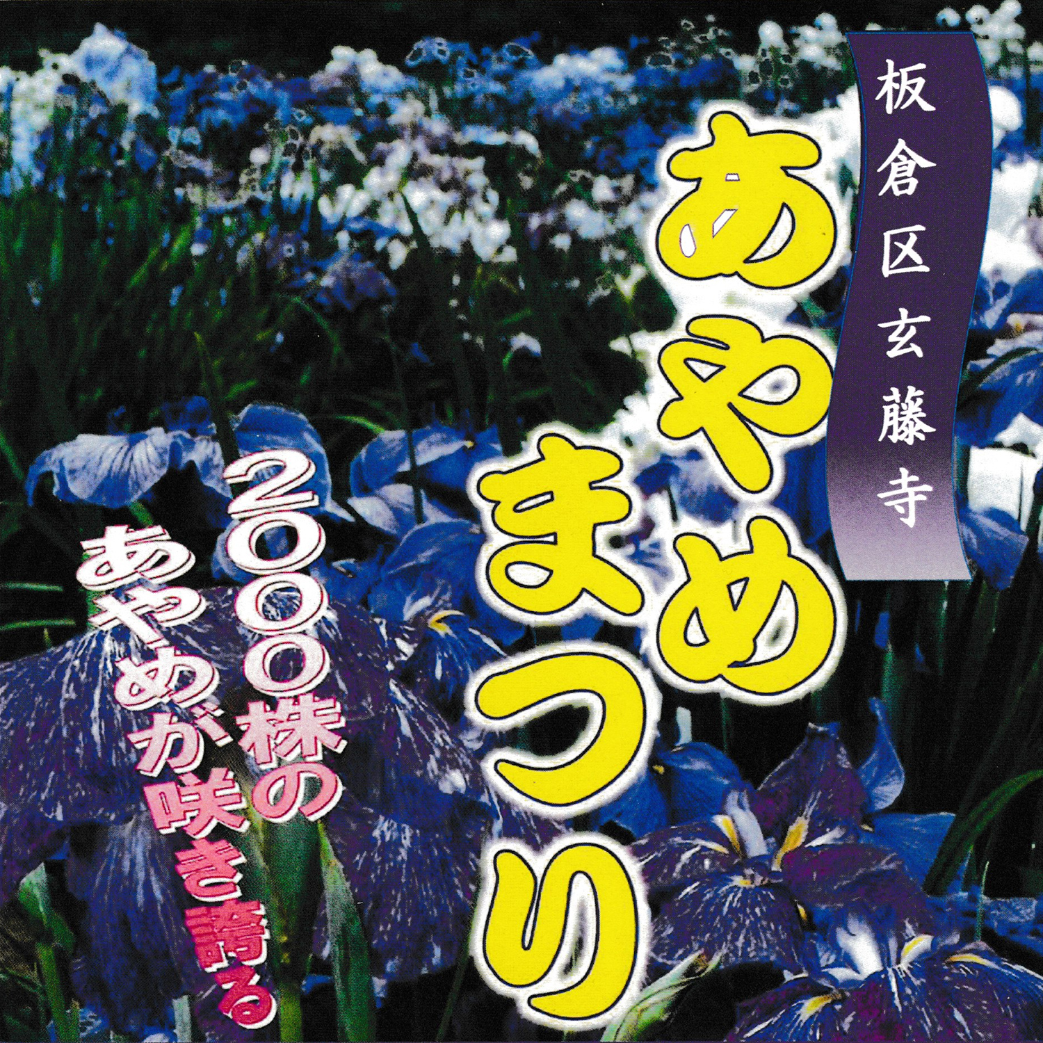 板倉区玄藤寺 あやめまつり